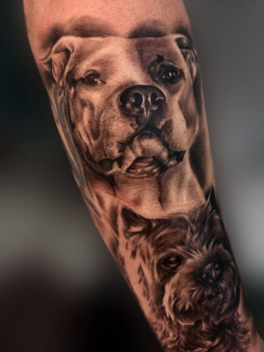 Trabajo Abismo Tattoo